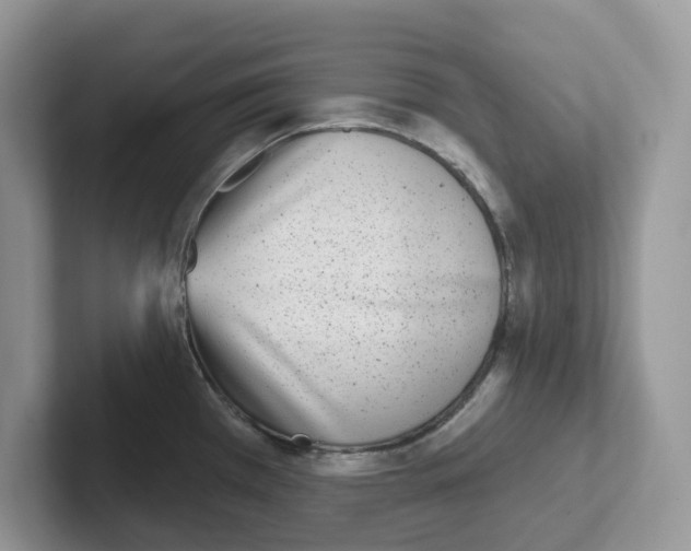 X0000101701385200807311423