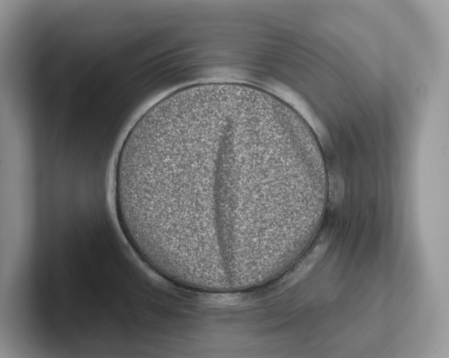 X0000101701387200807311423