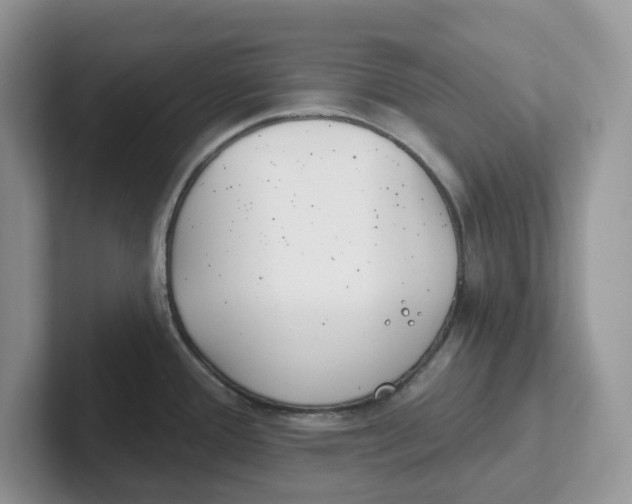 X0000101701388200807311423