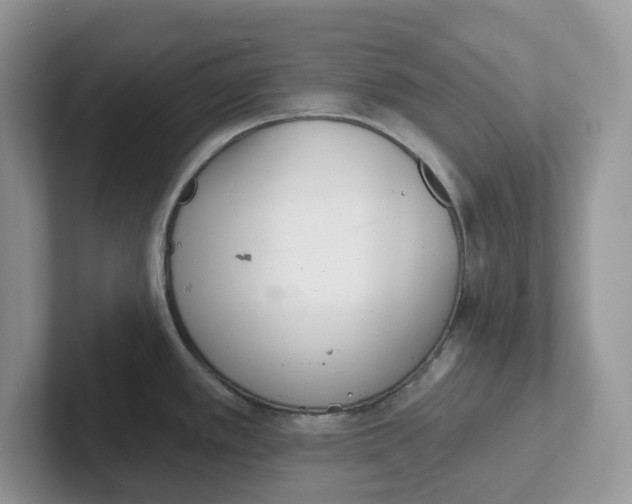 X0000101701389200807311423