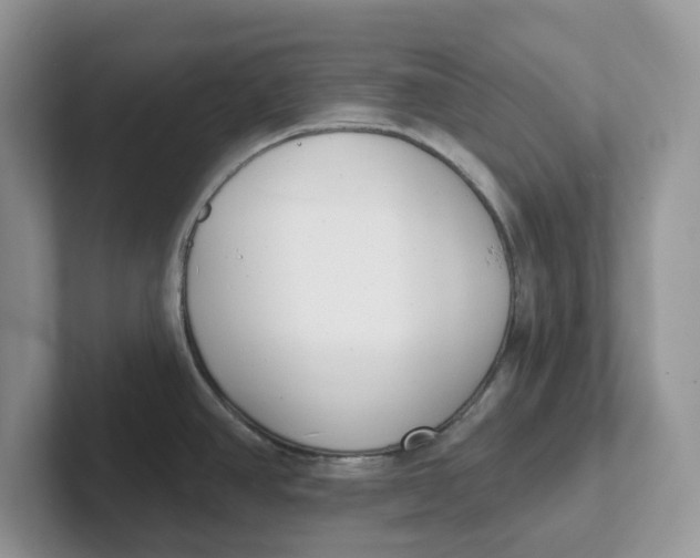 X0000101701390200807311423