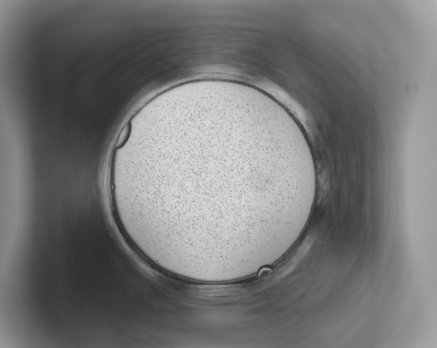 X0000101701391200807311423