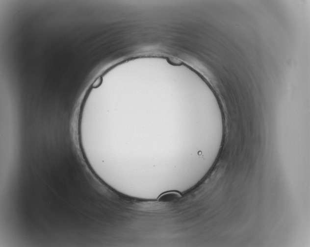 X0000101701392200807311423