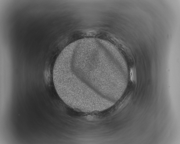 X0000101701395200807311422