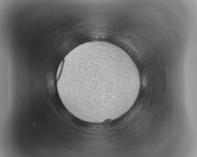 X0000101701396200807311422