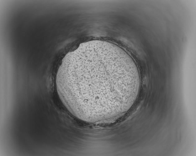 X0000101701398200807311422