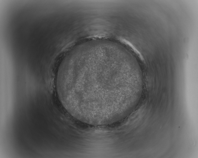 X0000101701399200807311422