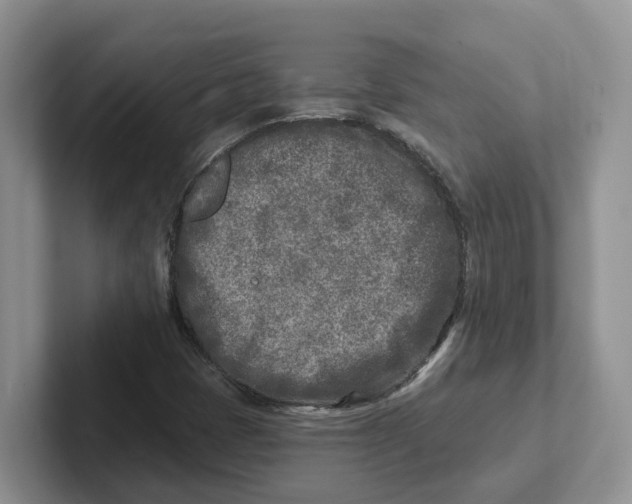 X0000101701401200807311422