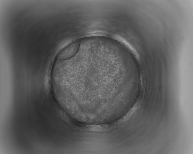 X0000101701405200807311422