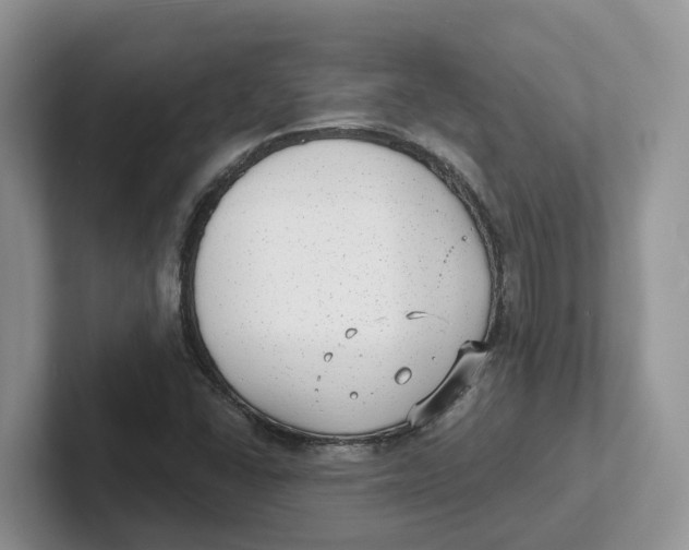 X0000101701406200807311422