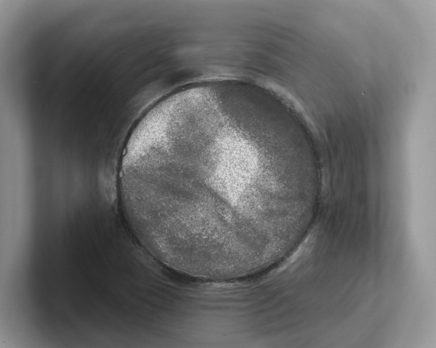 X0000101701409200807311423