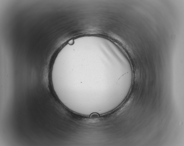 X0000101701410200807311423