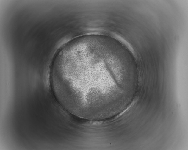 X0000101701411200807311423