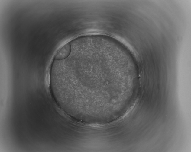 X0000101701413200807311423