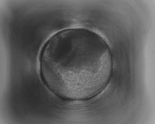 X0000101701414200807311423