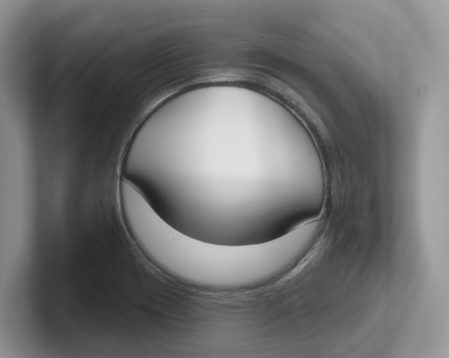 X0000101701417200807311423