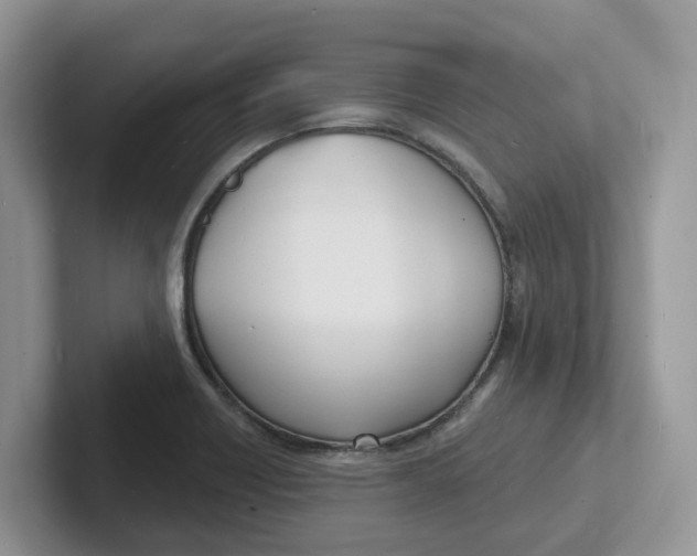 X0000101701418200807311423