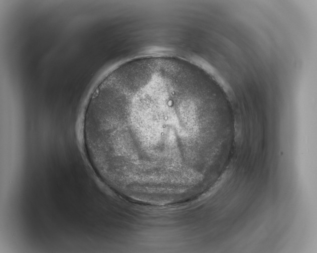 X0000101701421200807311423