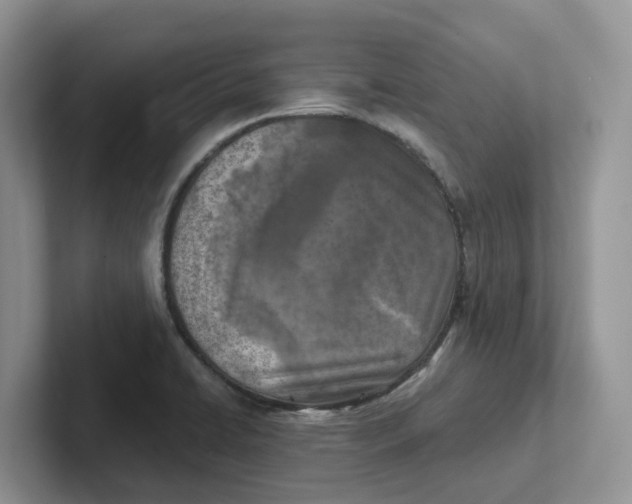 X0000101701422200807311423