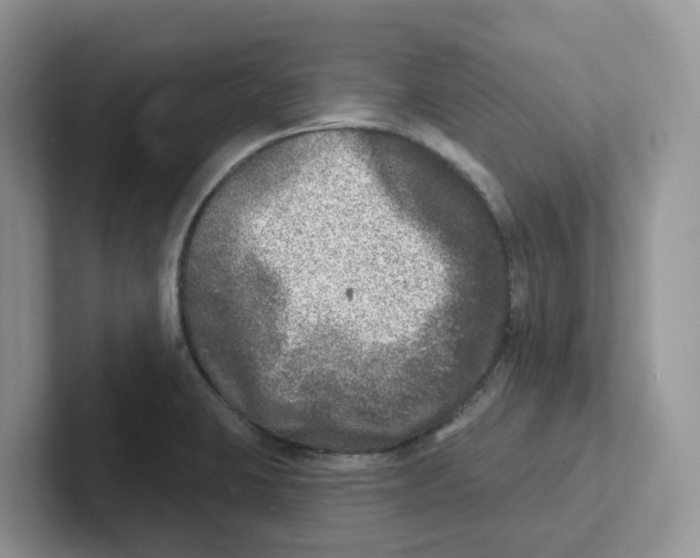 X0000101701423200807311423