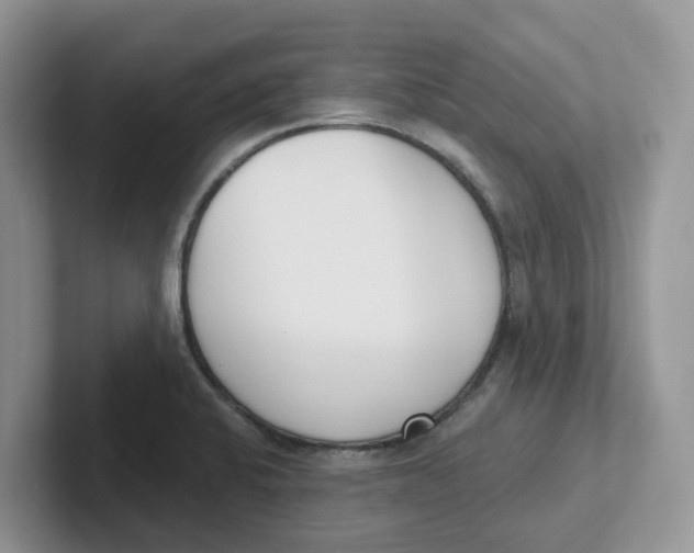 X0000101701424200807311423