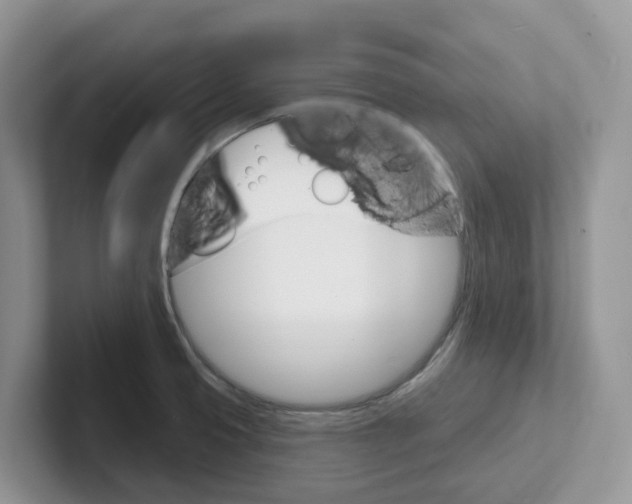 X0000101701425200807311423