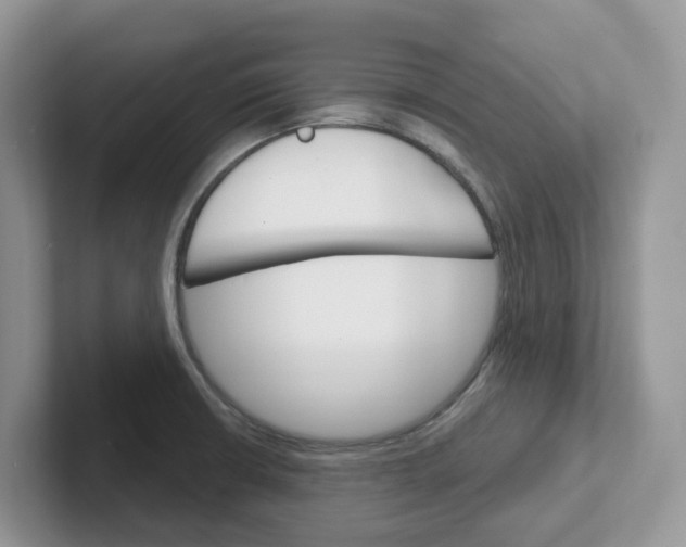 X0000101701426200807311423