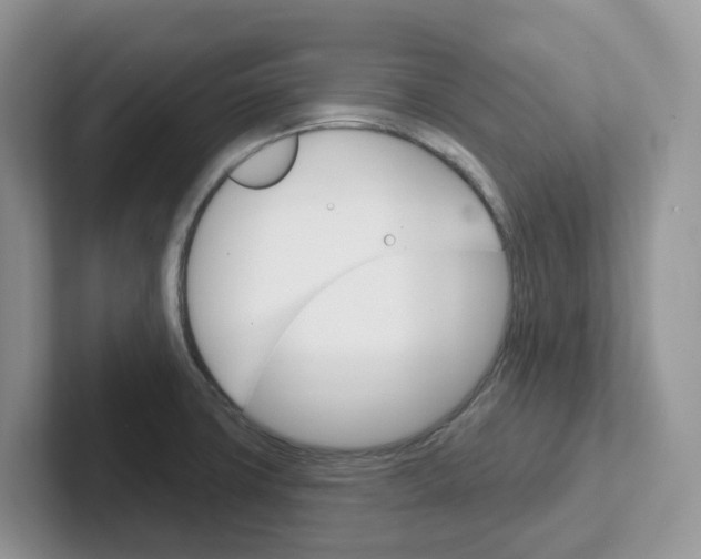 X0000101701427200807311423