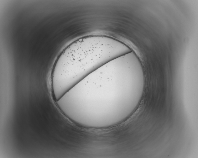 X0000101701428200807311423