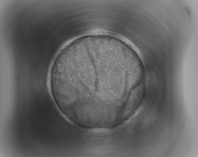 X0000101701429200807311423