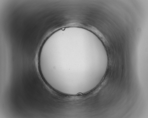 X0000101701430200807311423