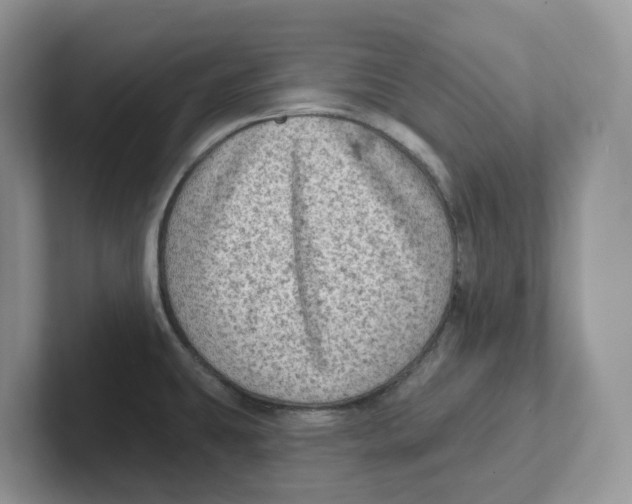 X0000101701431200807311423