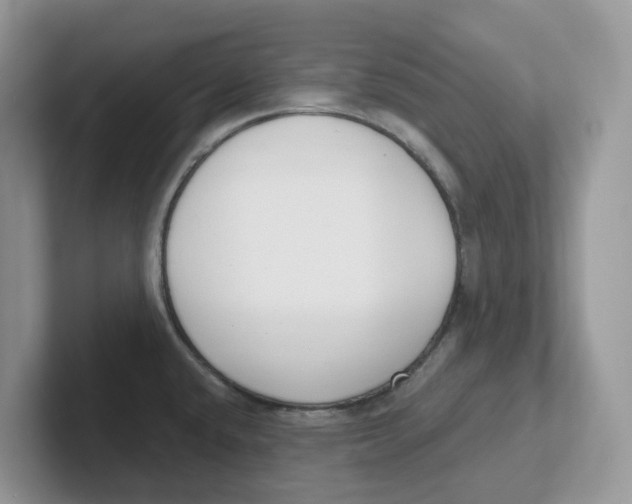 X0000101701432200807311423