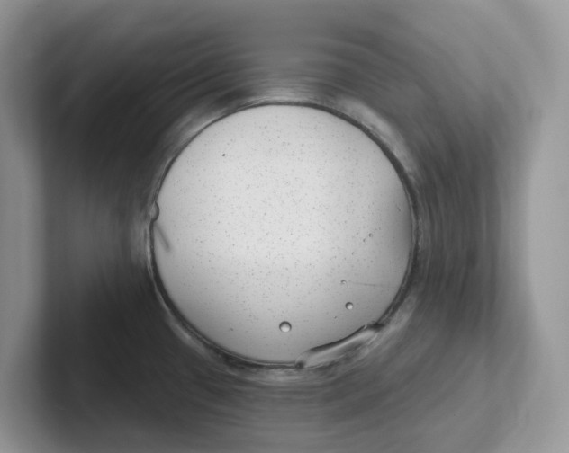 X0000101701433200807311423