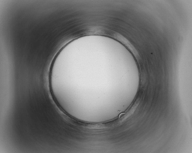 X0000101701434200807311423