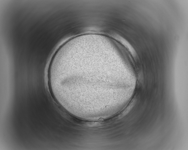 X0000101701435200807311423