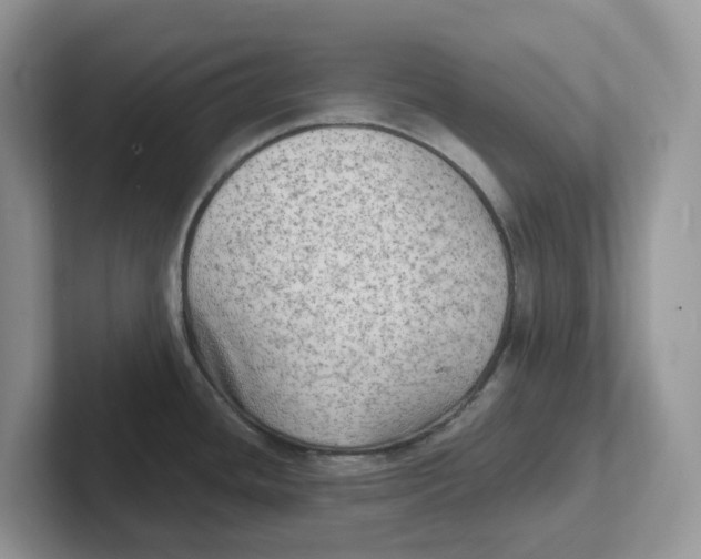 X0000101701436200807311423