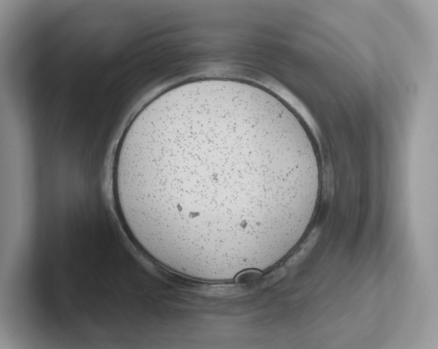 X0000101701437200807311423