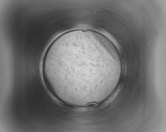 X0000101701438200807311423