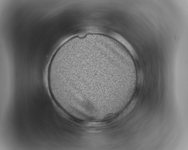 X0000101701439200807311423