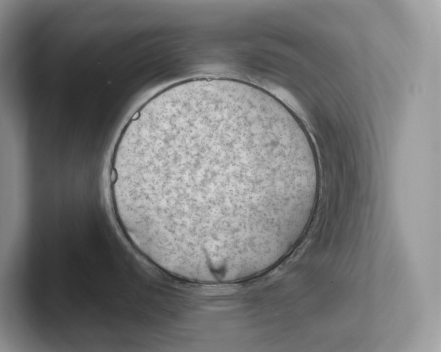 X0000101701440200807311423