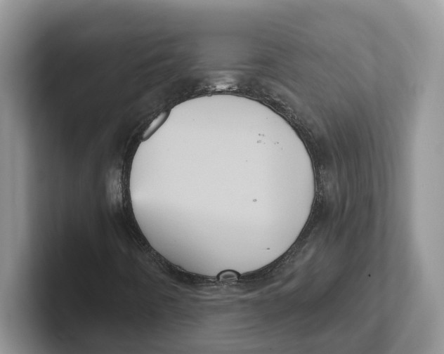 X0000101701442200807311422