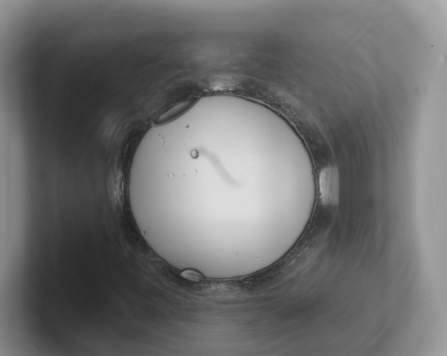 X0000101701443200807311422