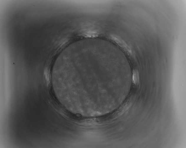 X0000101701444200807311422