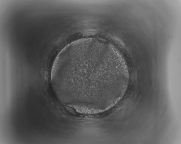 X0000101701445200807311422