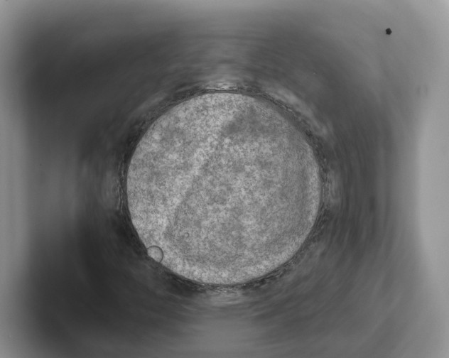 X0000101701446200807311422