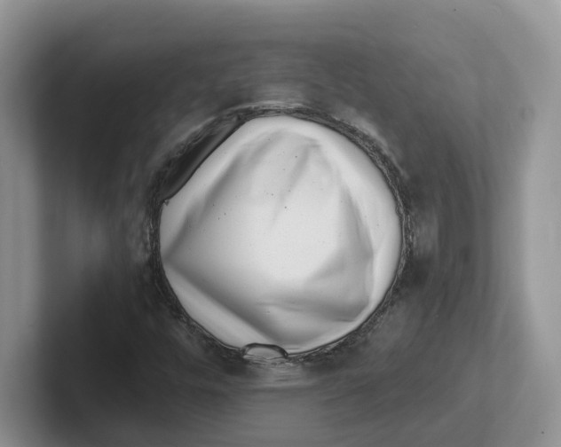 X0000101701448200807311422