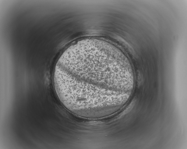 X0000101701449200807311422