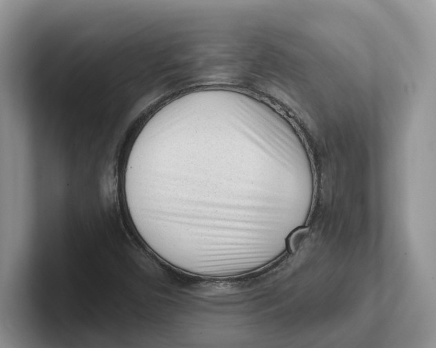 X0000101701450200807311422