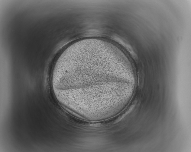 X0000101701453200807311422